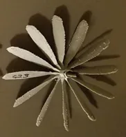 Printed Blade