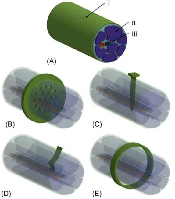 Common recording electrode designs for peripheral nerves, composed of the epineurium (A.i), nerve fascicles (A