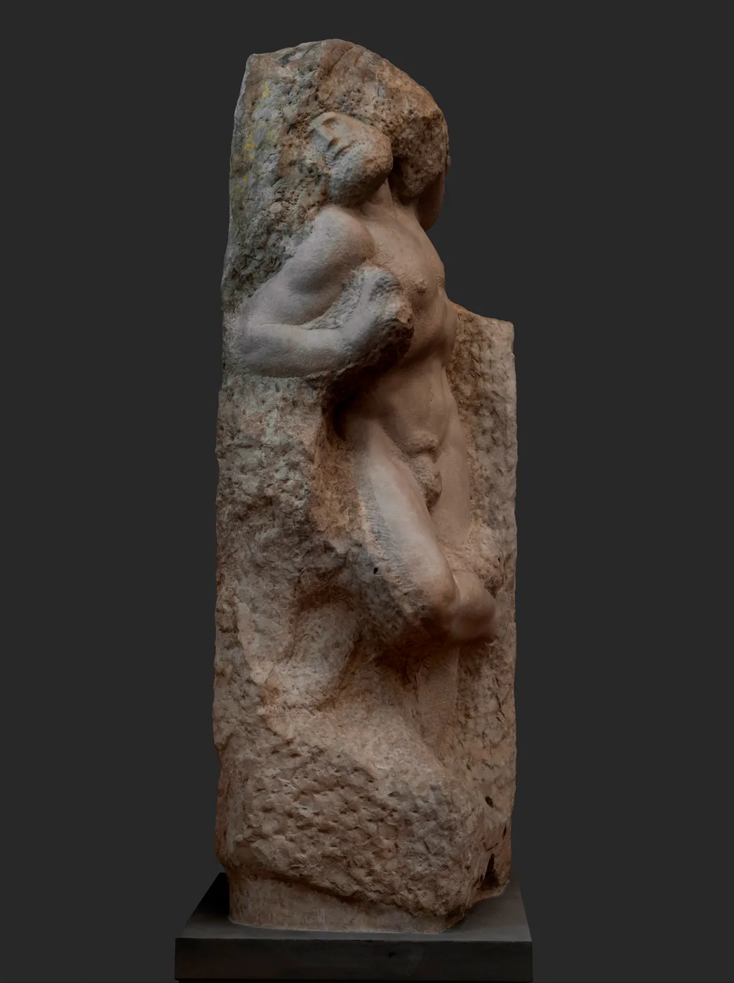 Michelangelo's Awakening Slave