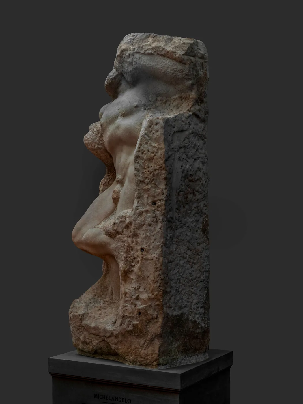 Michelangelo's Awakening Slave